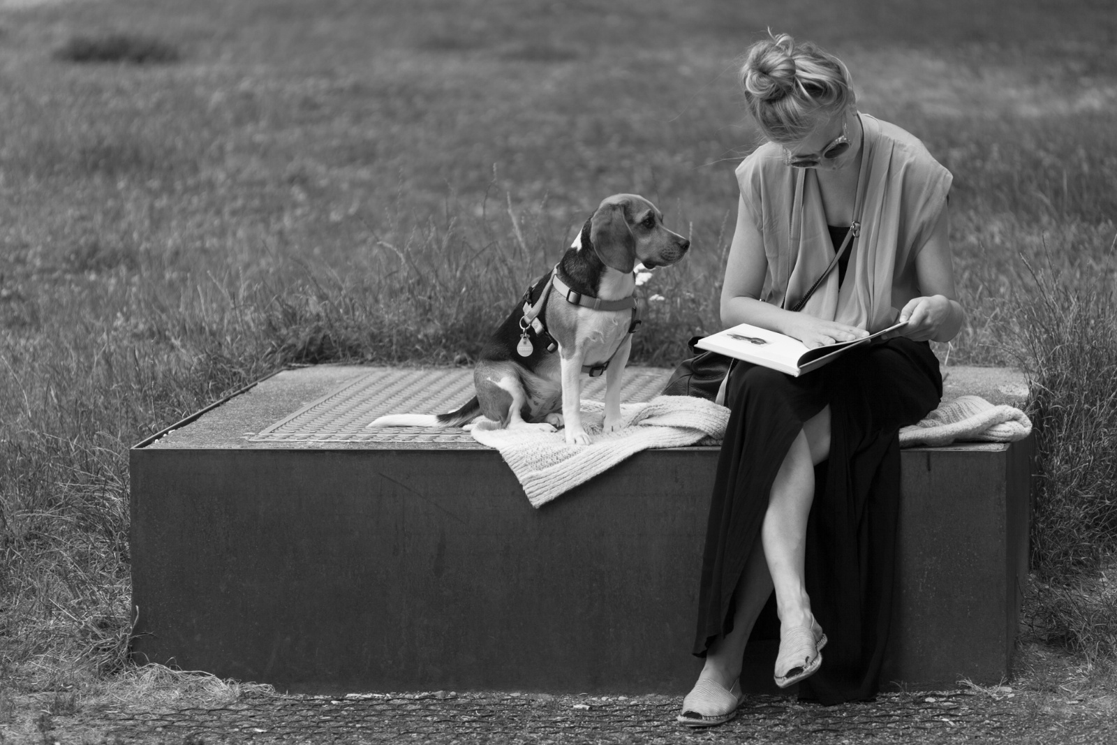 Foto Josef Schafnitzel 2921